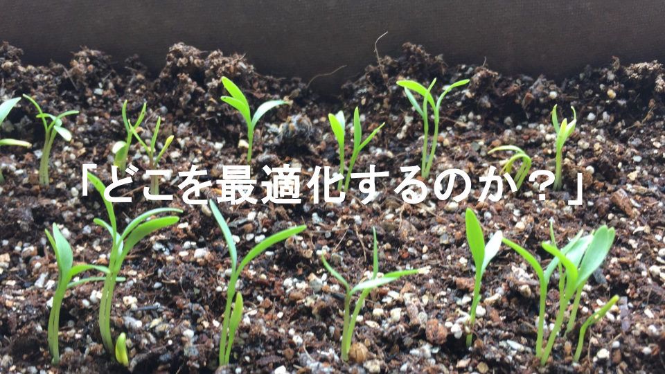 植物の芽